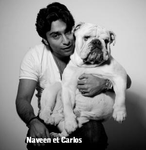 Etalon bulldog anglais